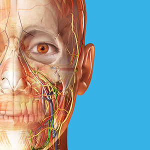 Human Anatomy Atlas 2023 v2023.0.09 Mod Apk poster