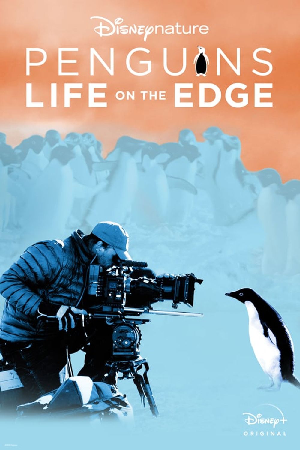 Penguins Life on the Edge poster