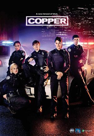 Rookie Blue TV Series poster
