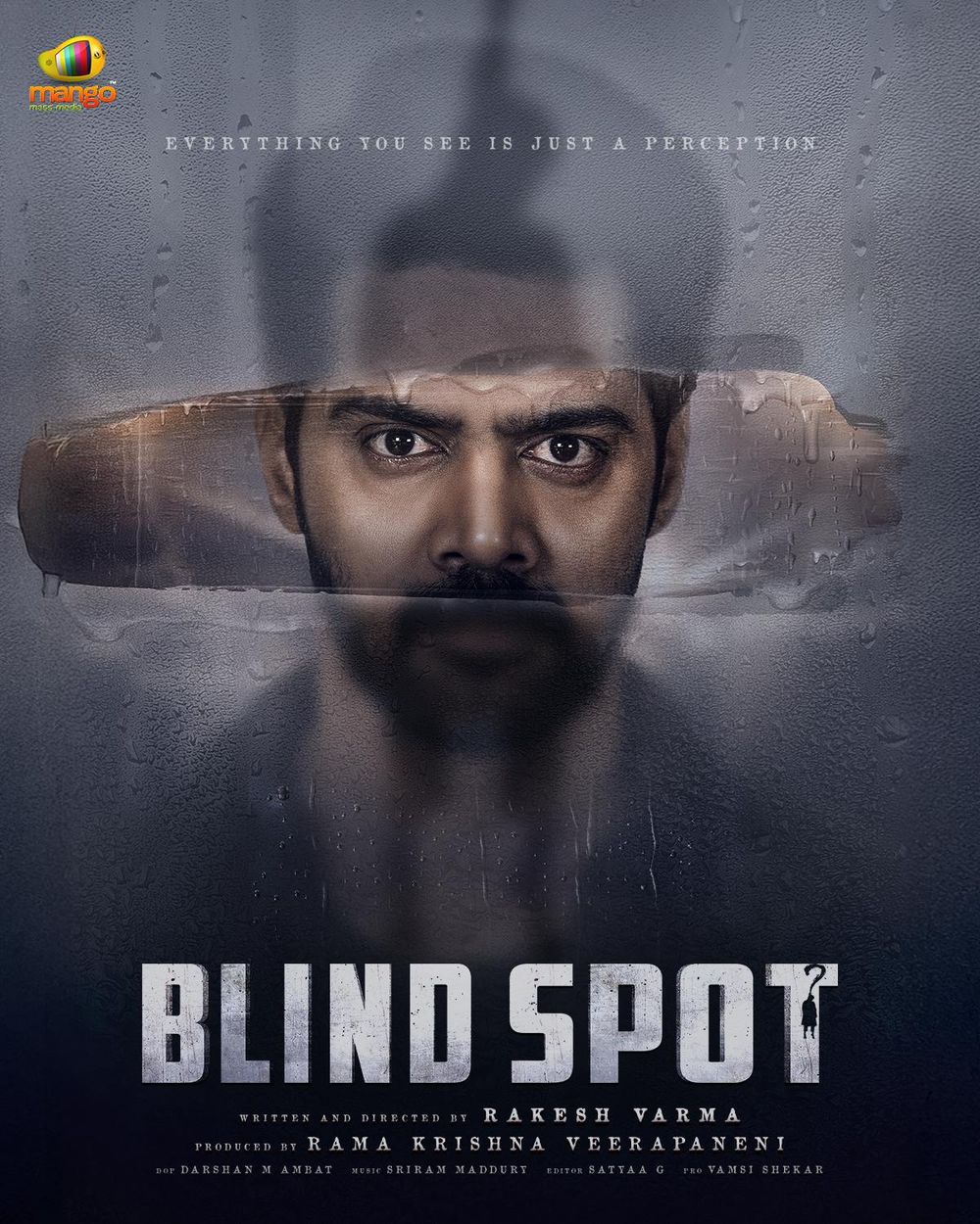 Blind Spot poster