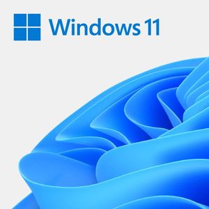 Windows 11 22H2 English v1.2 x64 poster