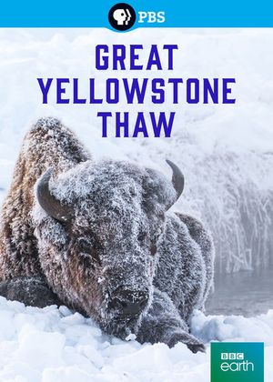 Great Yellowstone Thaw poster