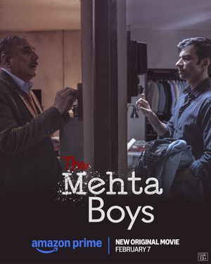The Mehta Boys poster