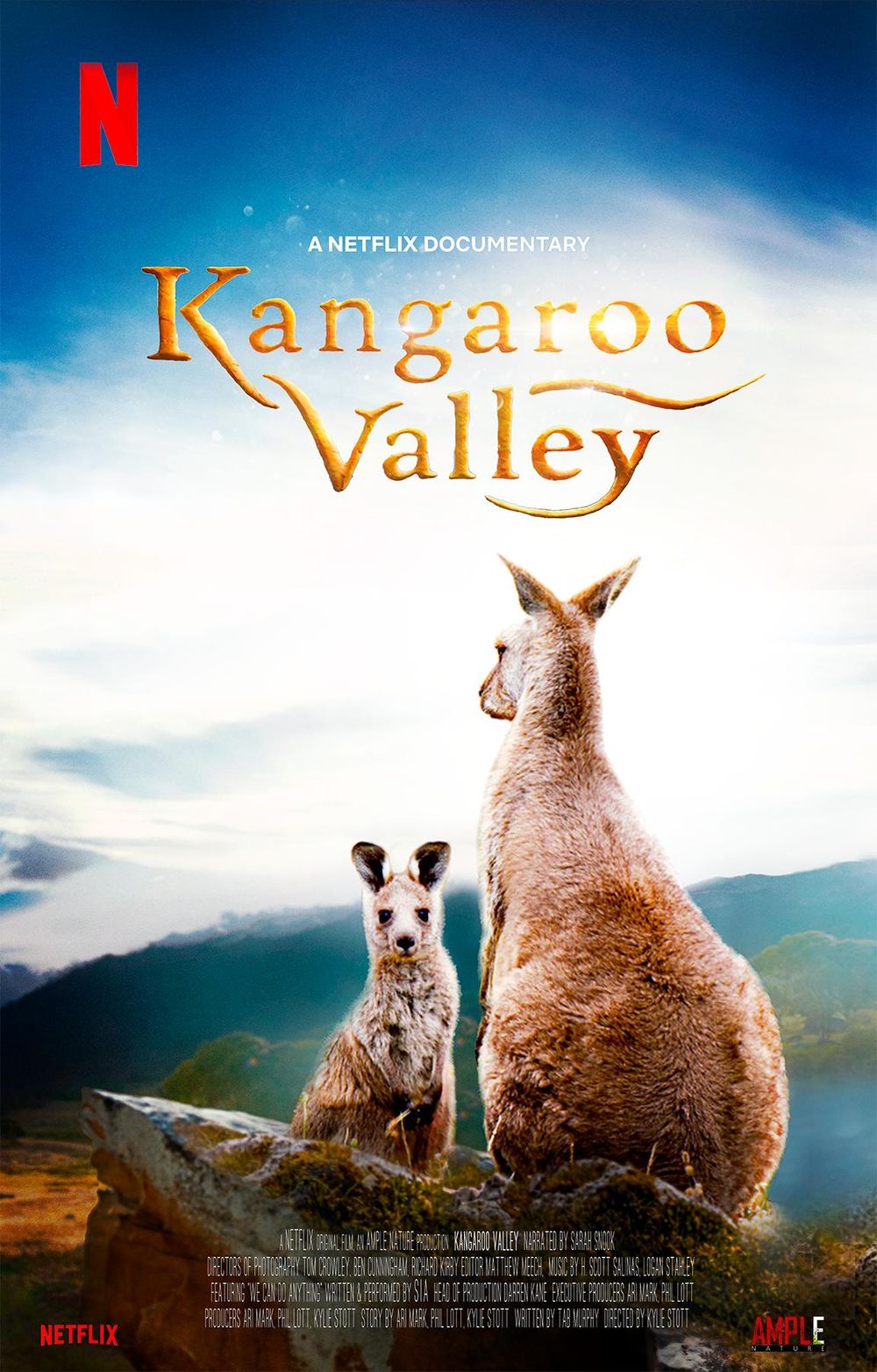 Kangaroo Valley poster