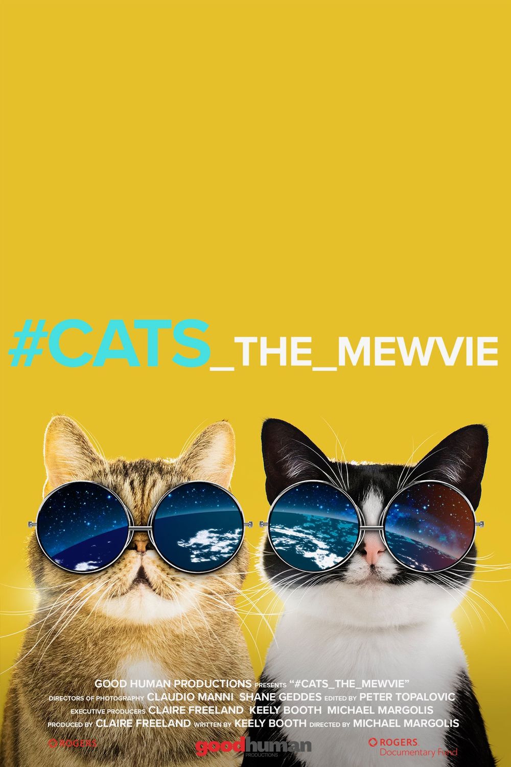 Cats The Mewvie poster