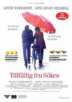 Seeking Temporary Wife poster
