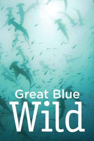 Great Blue Wild poster