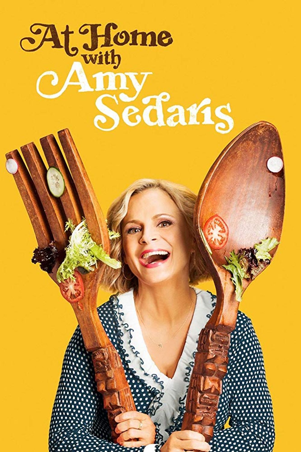 At Home With Amy Sedaris TV Series poster