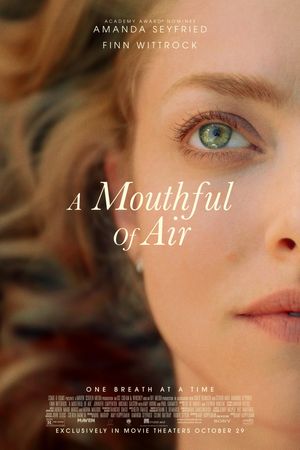 A Mouthful Of Air poster