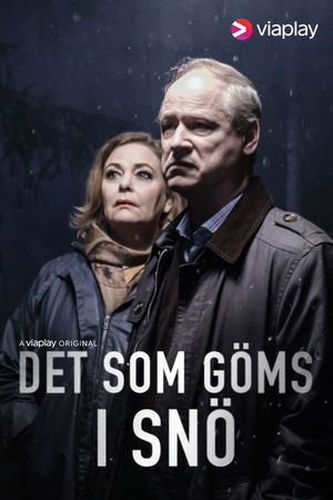 Det som göms i snö poster