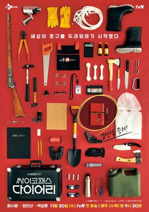 Psychopath Diary poster