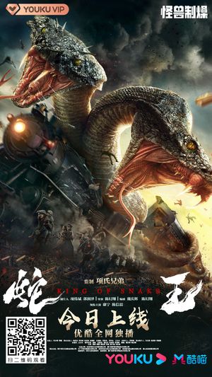 She wang poster