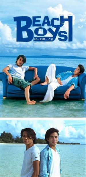 Beach Boys poster