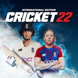 Cricket poster