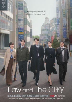 Law and the City poster