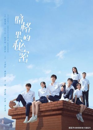 Our Secret poster