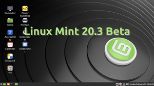 Linuxmint poster
