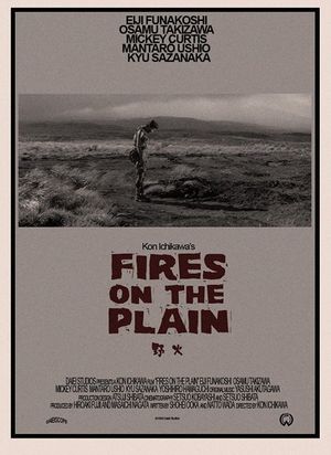 Fires On The Plain poster