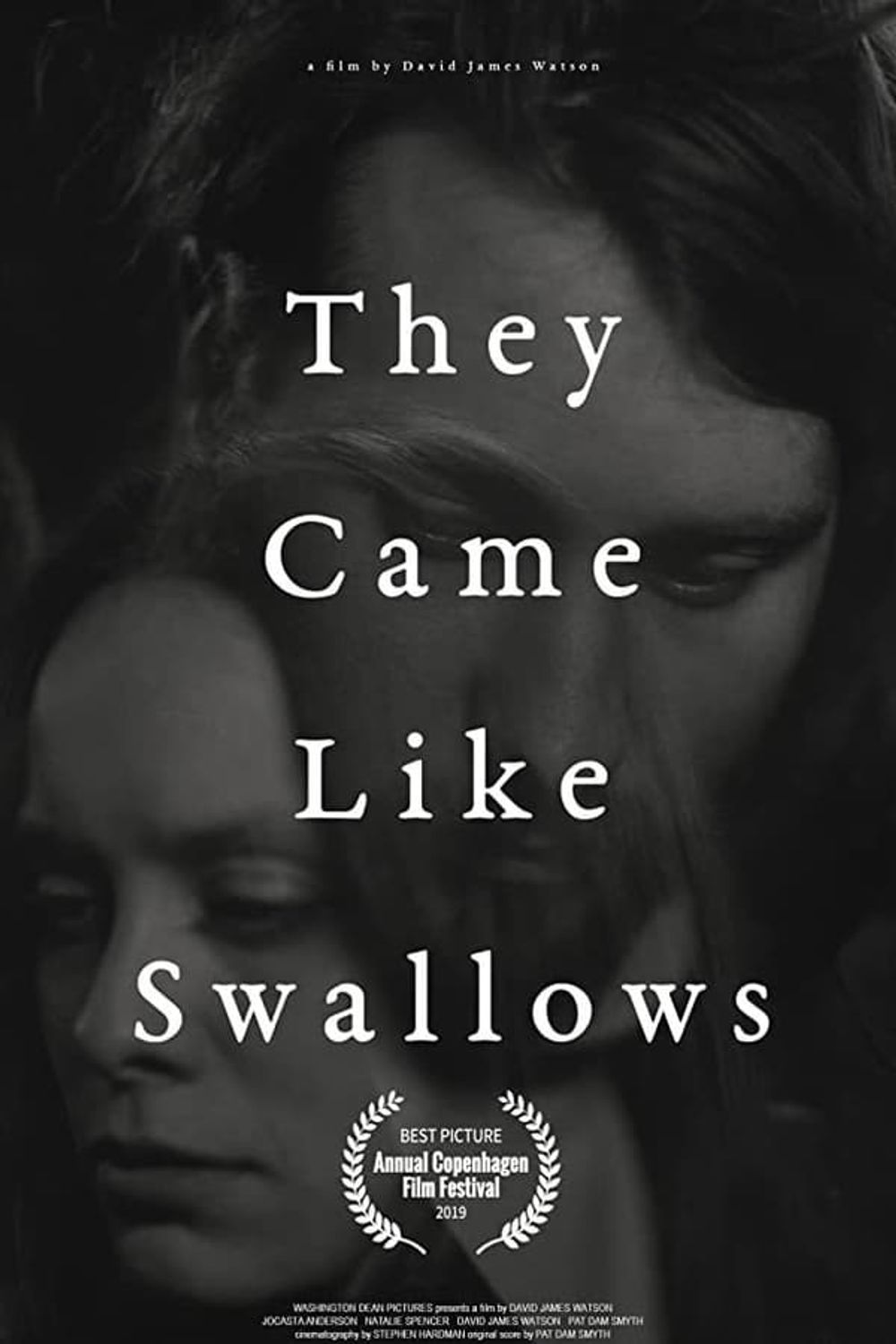 They Came Like Swallows poster