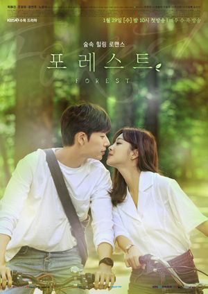 Forest poster