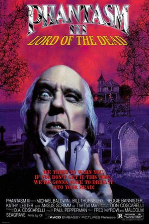 Phantasm III Lord of the Dead poster