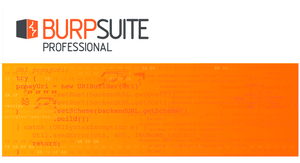 Burp Suite Professional poster