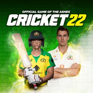 Cricket poster