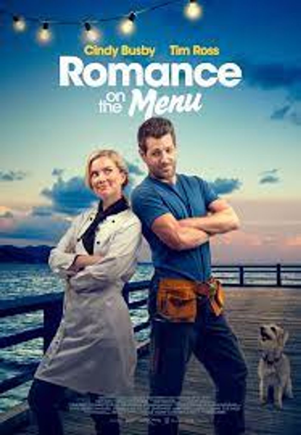 Romance On The Menu poster