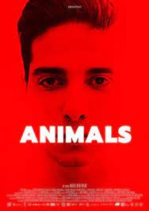 Animals poster