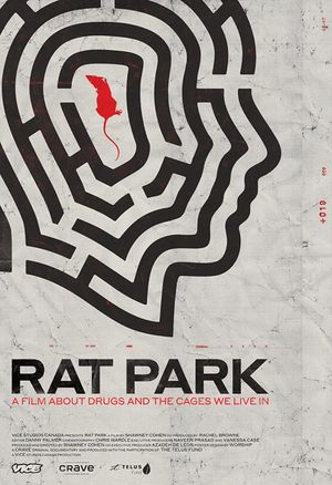 Rat Park poster