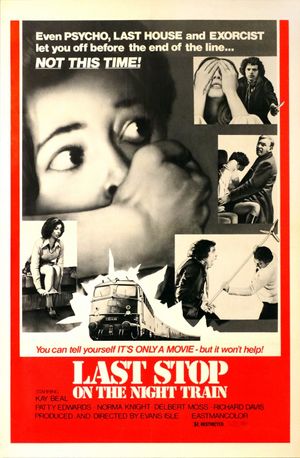 Last Stop On The Night Train poster