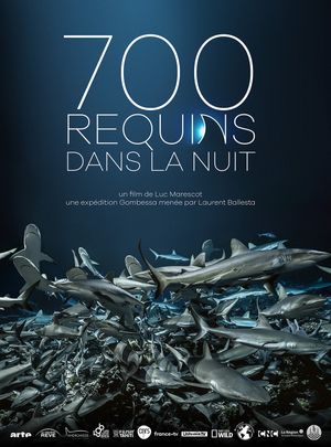 700 Sharks poster