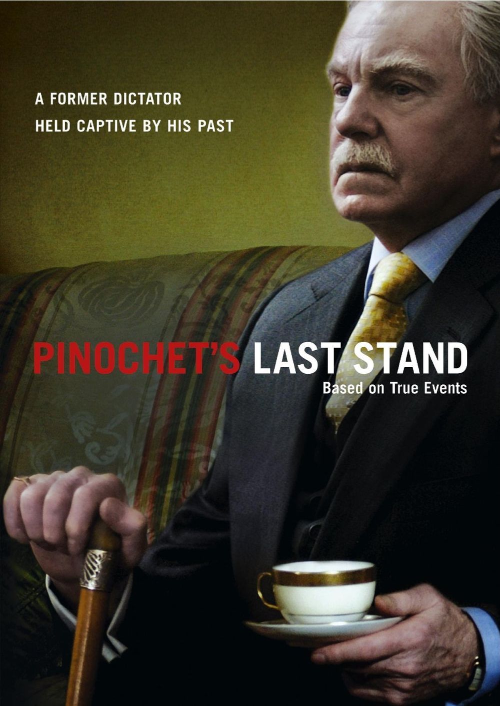 Pinochet Last Stand poster
