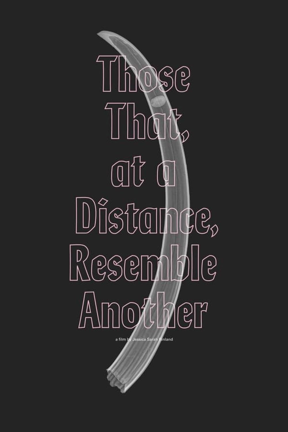 Those That at a Distance Resemble Another poster