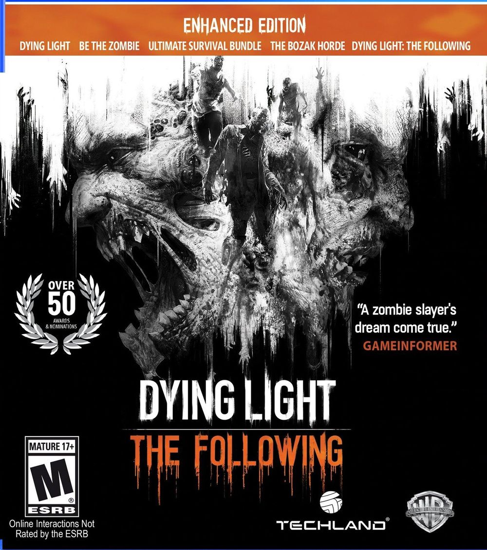Dying Light & poster