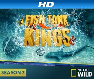 Fish Tank Kings poster