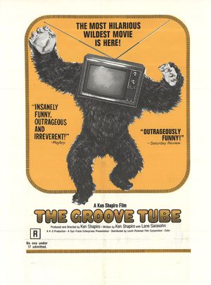 The Groove Tube poster