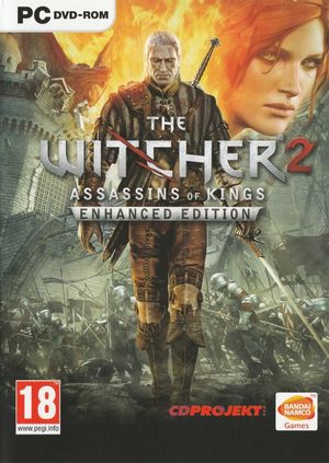 The Witcher 2 - Assassins of Kings & poster