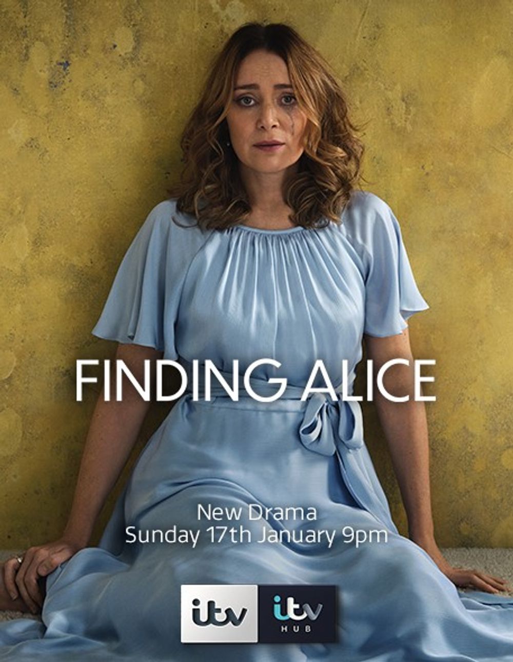 Finding Alice poster