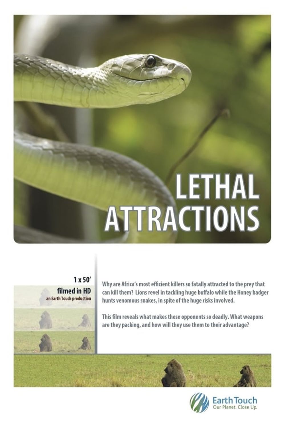 Lethal Attractions poster