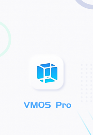 VMOS poster
