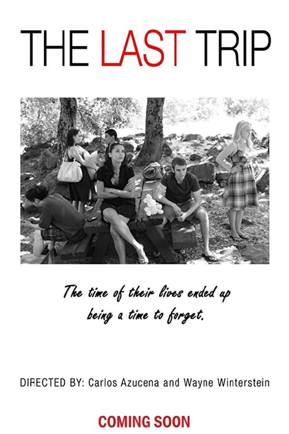 The Last Trip poster
