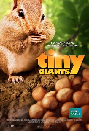Tiny Giants poster