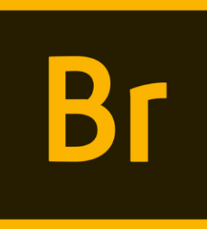 Adobe Bridge poster