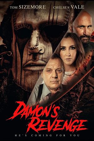 Damon's Revenge poster