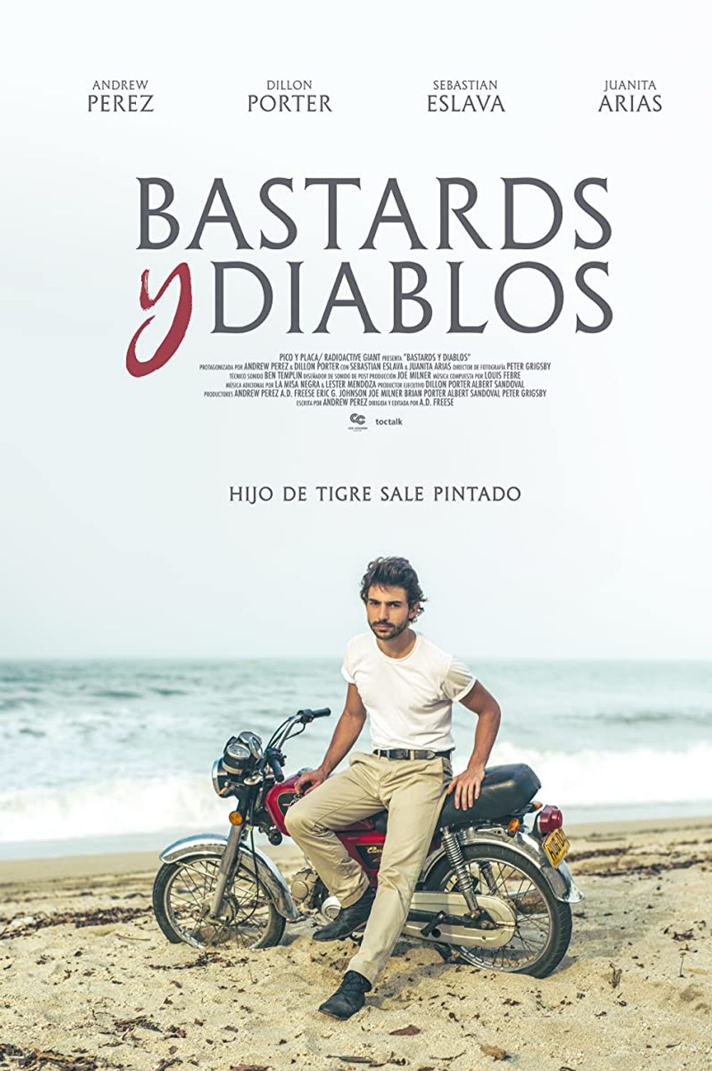 Bastards Y Diablos poster