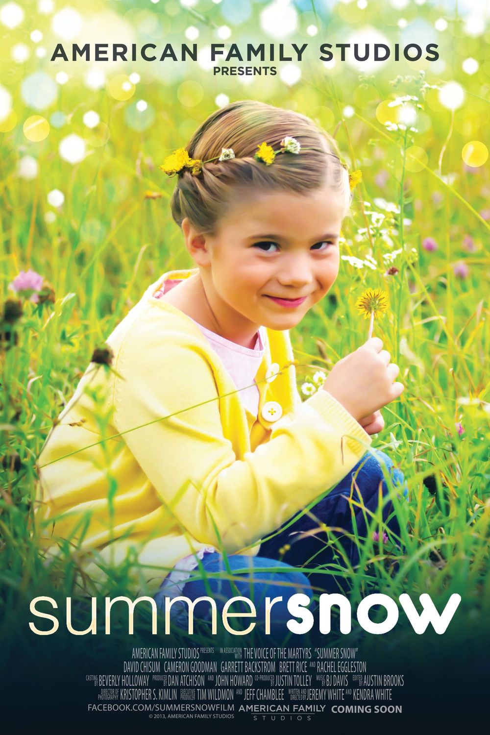 Summer Snow poster