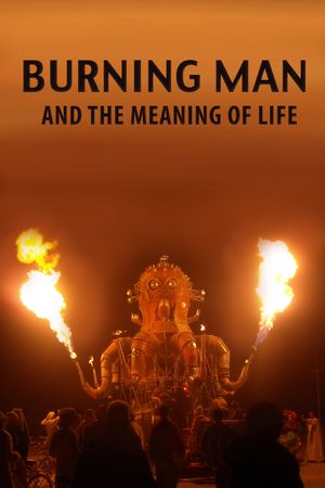 Burning Man and the Meaning of Life poster