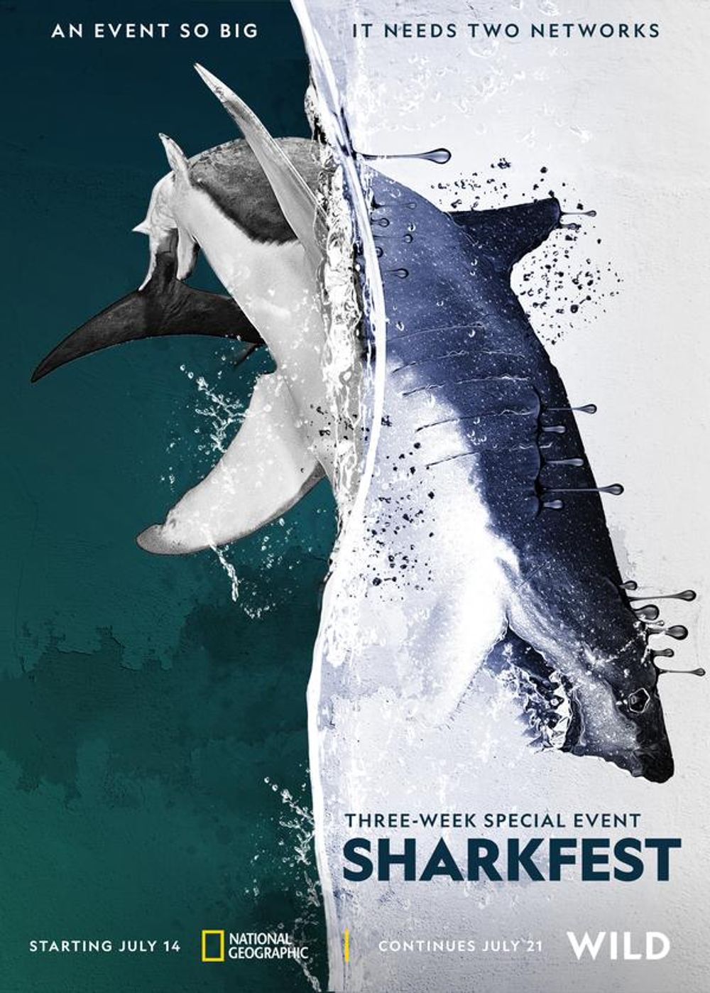 Man vs Shark poster