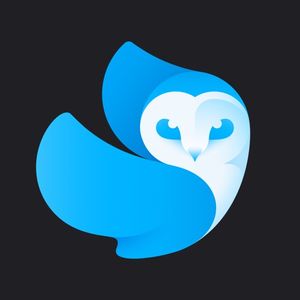 Lightleap Photo Editor & poster